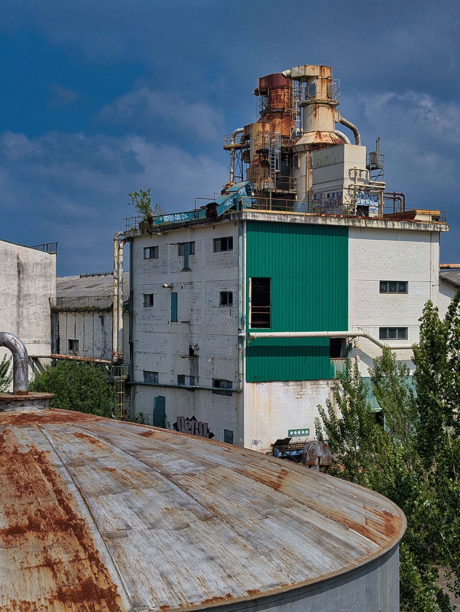 PXL 20250427 125614731