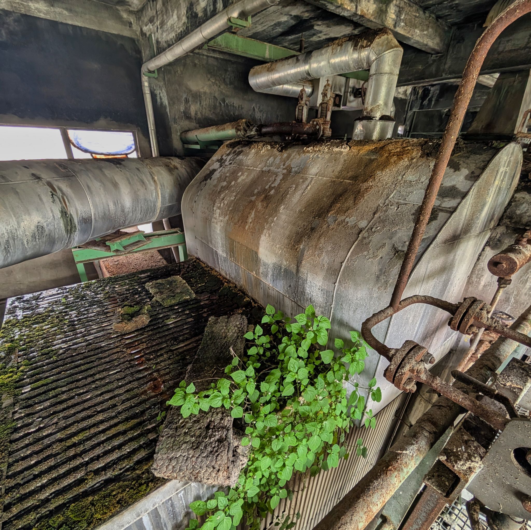 PXL 20250427 125857813