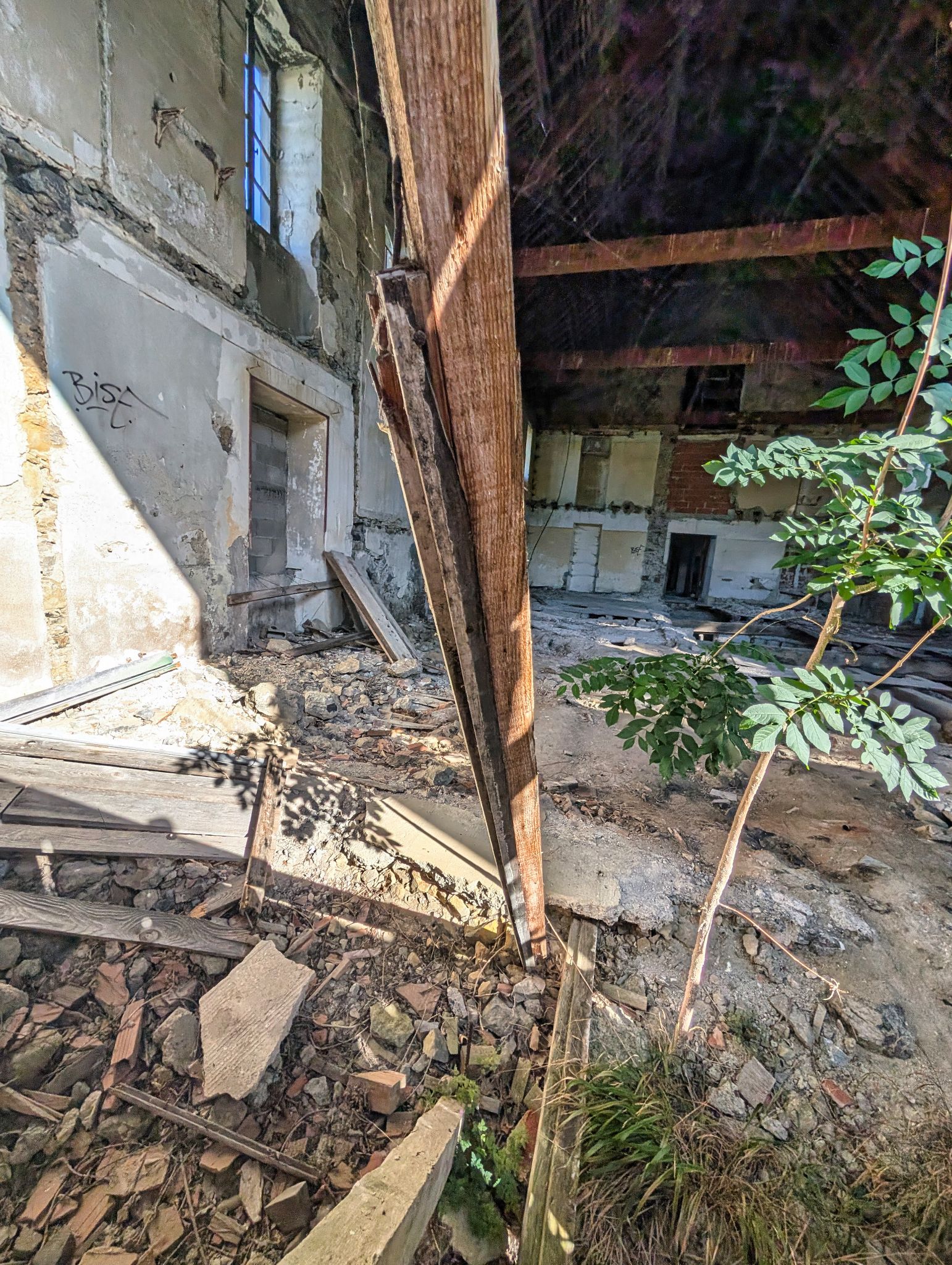 PXL 20251012 140144903