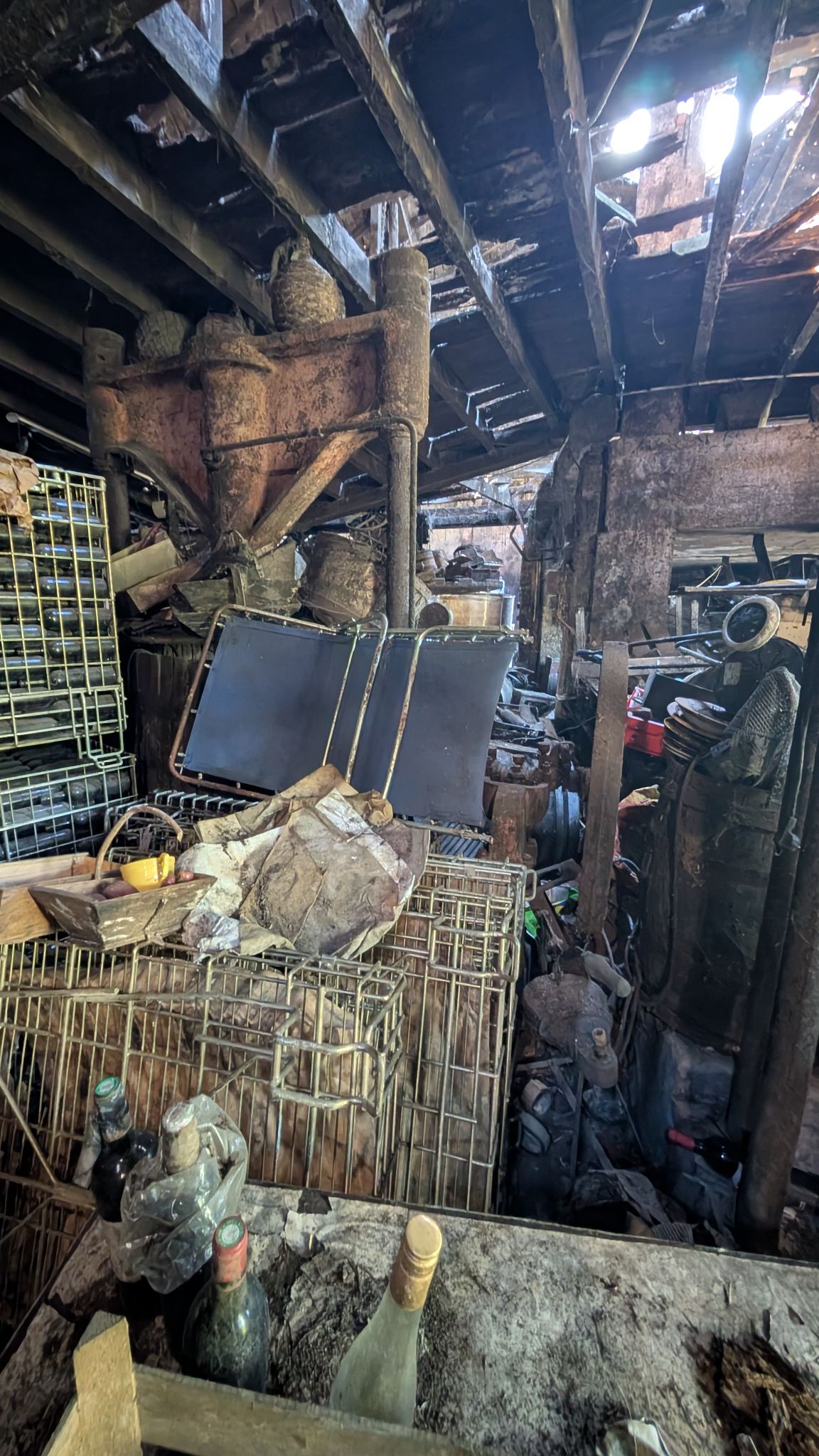 PXL 20260419 150441838