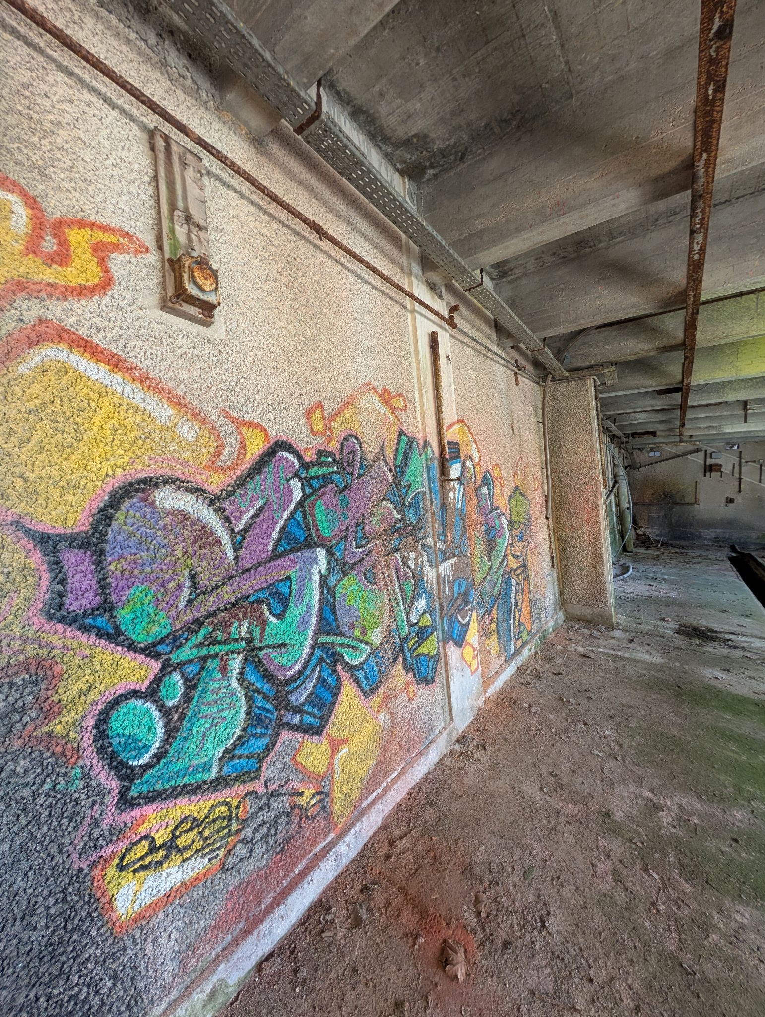 PXL 20260315 151032177