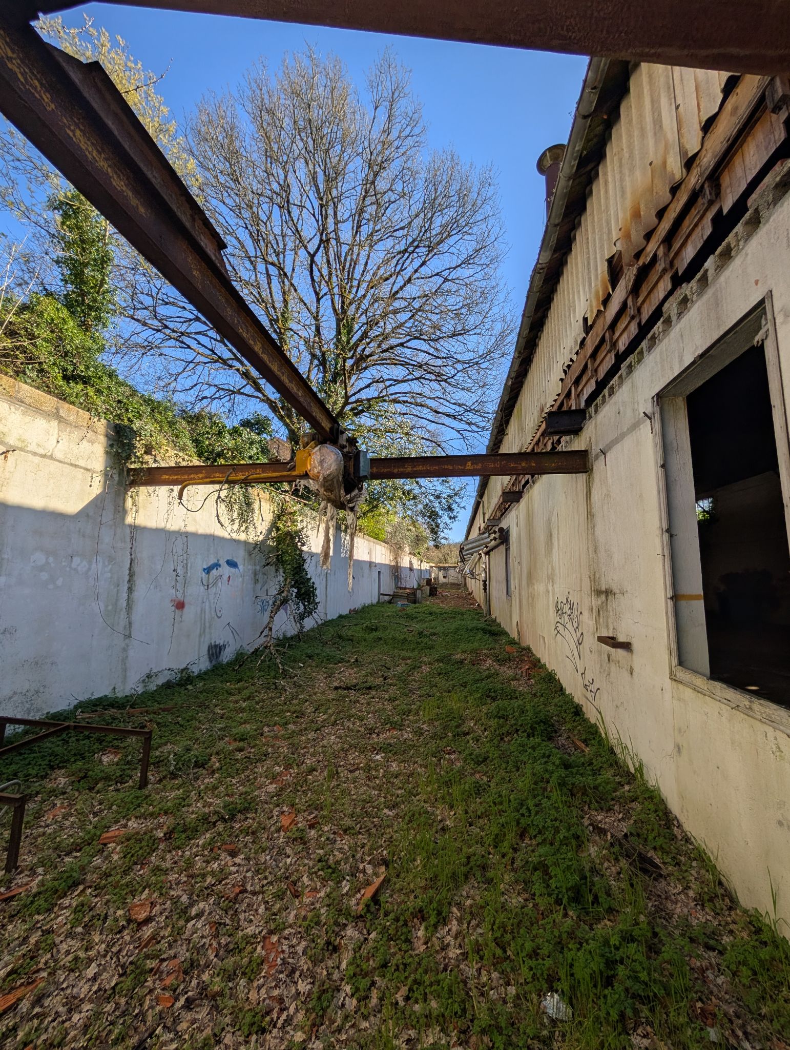 PXL 20260315 151359608