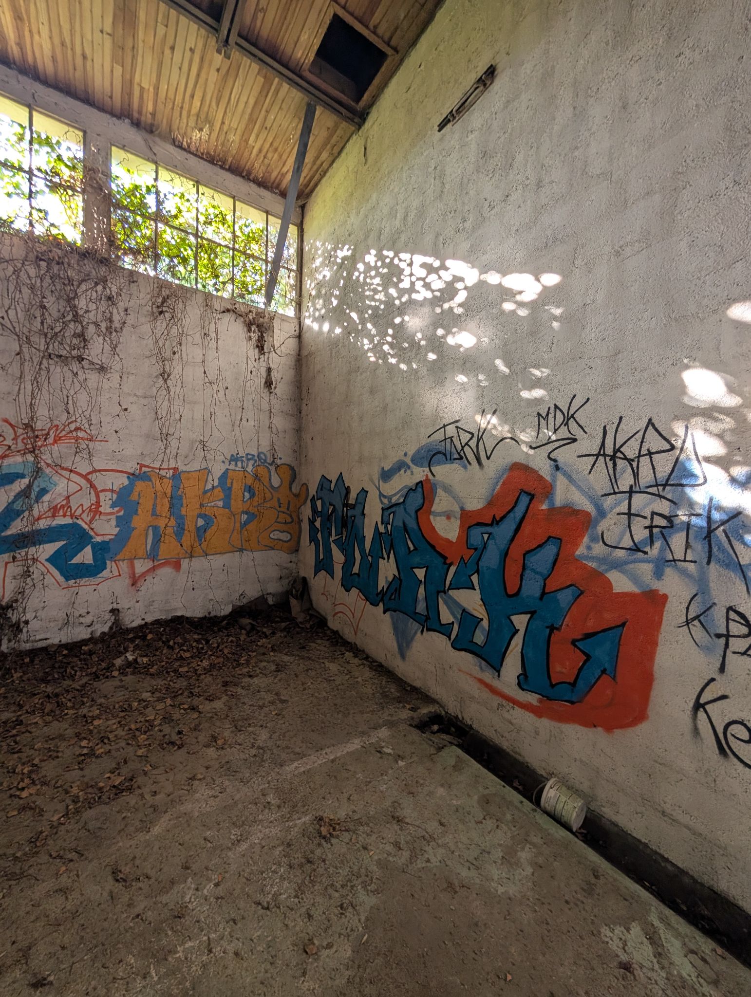 PXL 20260315 151522078