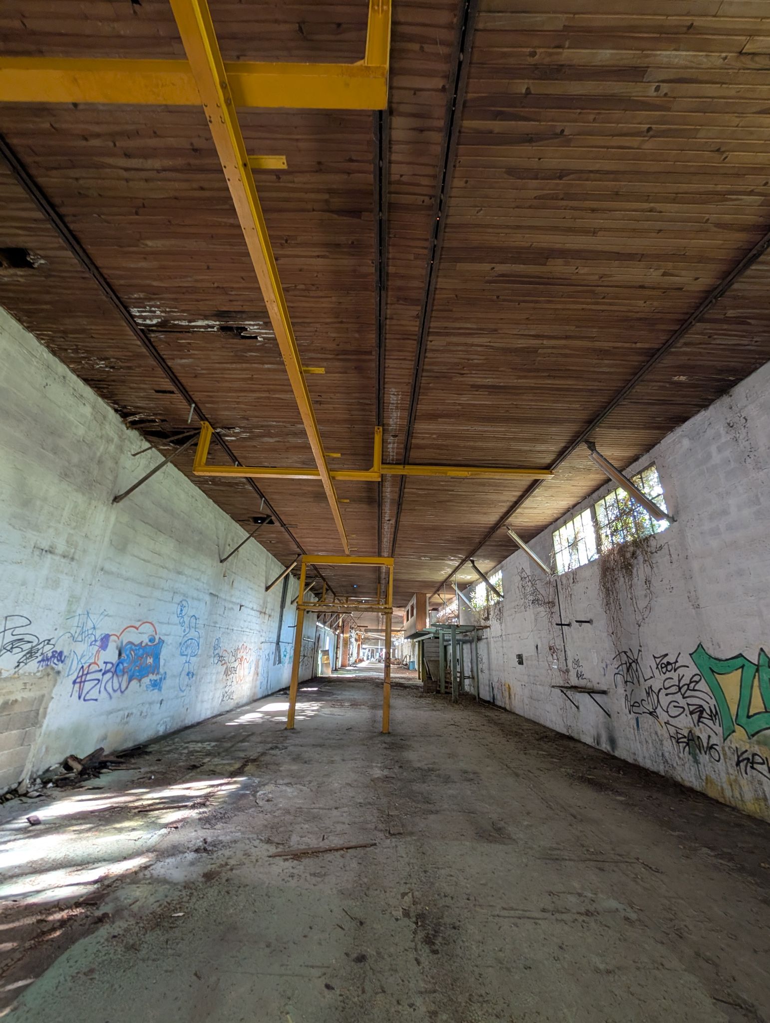 PXL 20260315 151526519