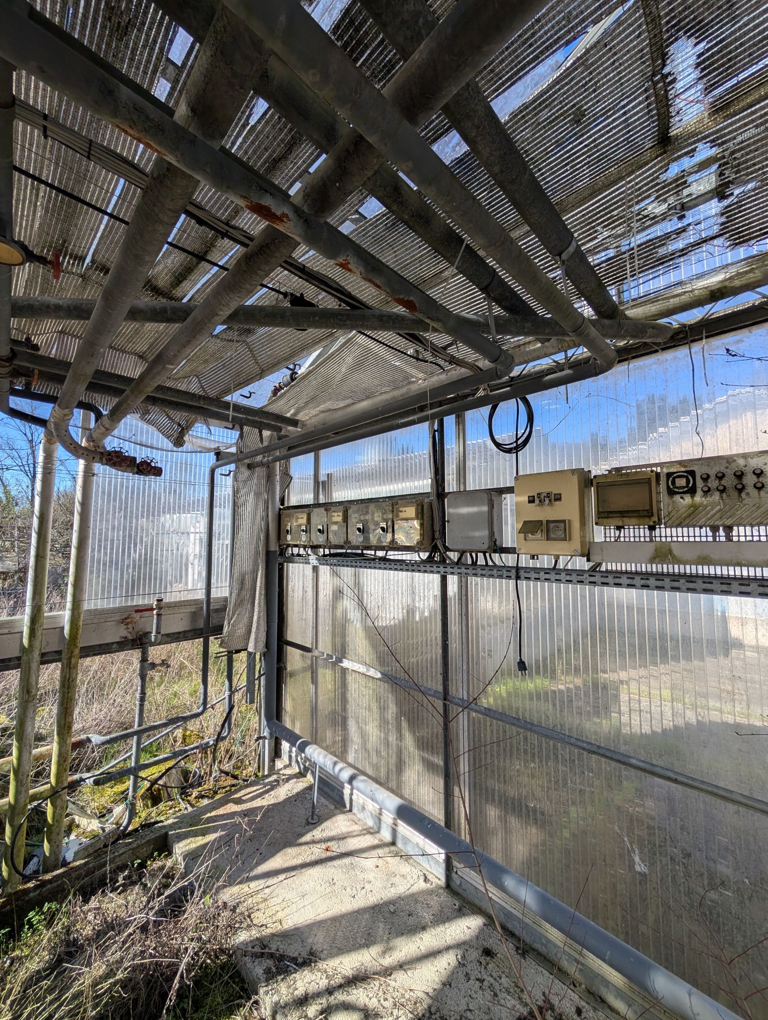 PXL 20260315 144240921