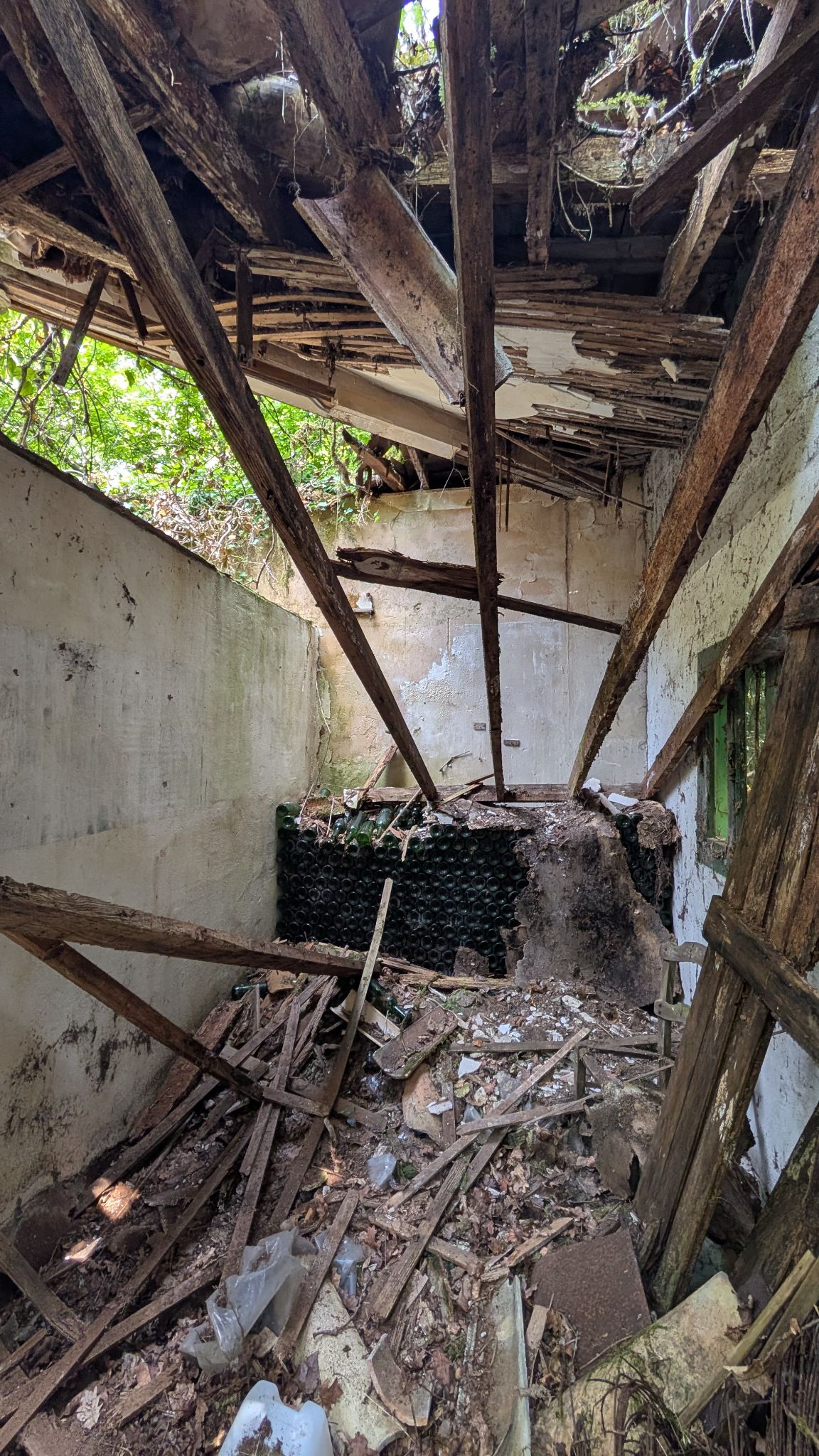 PXL 20260427 123309863