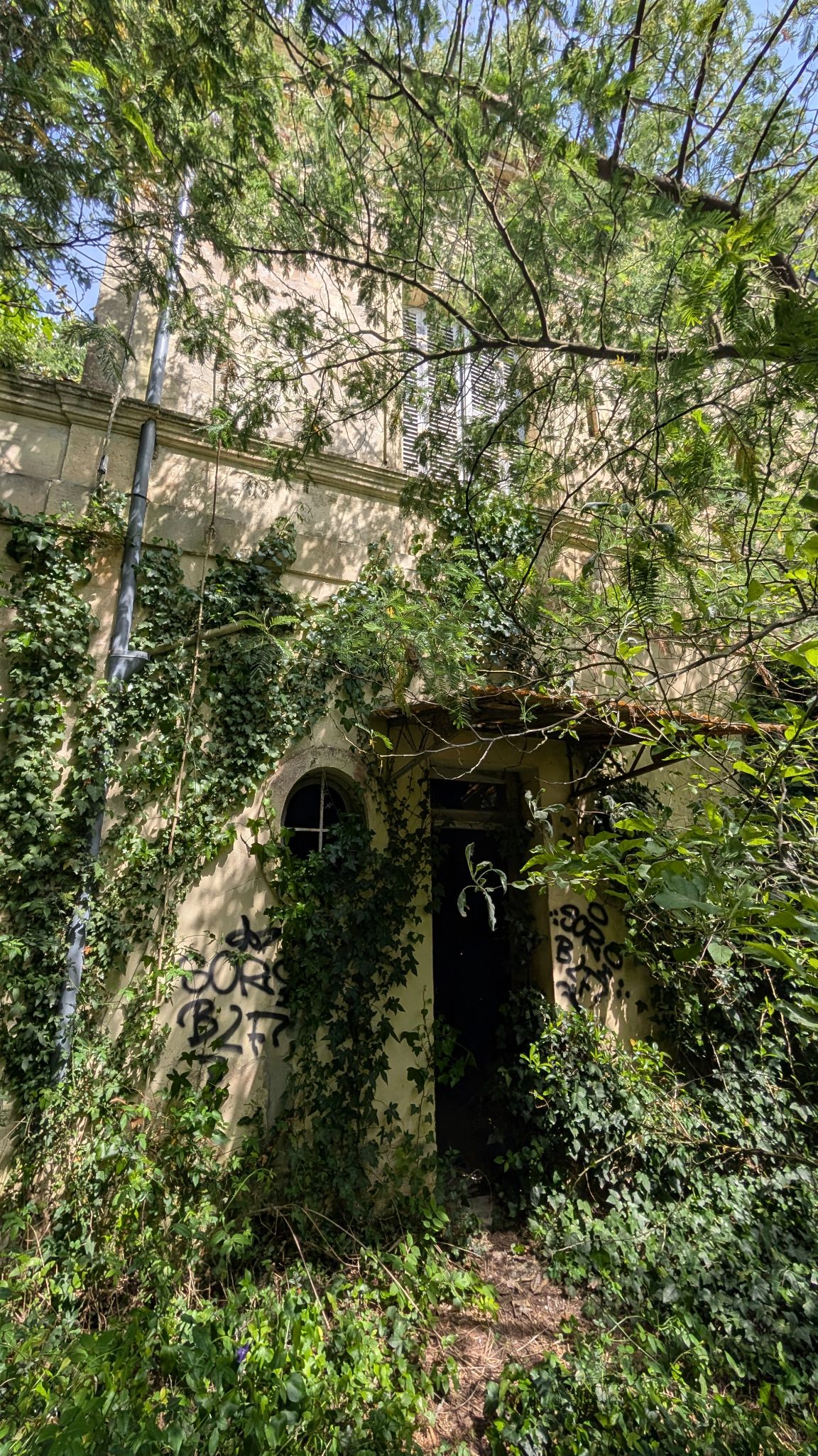 PXL 20260427 123705928