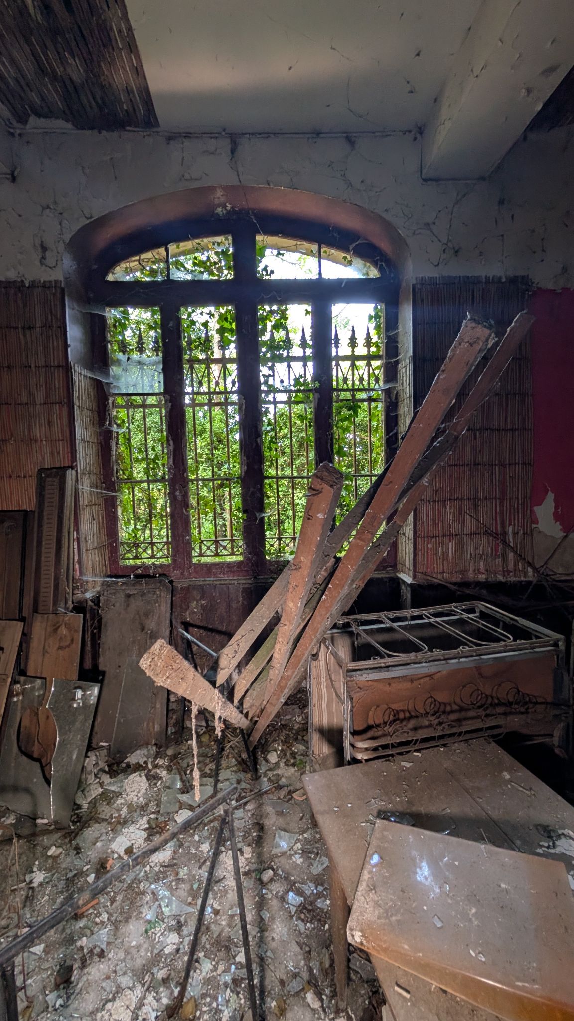 PXL 20260427 124854475