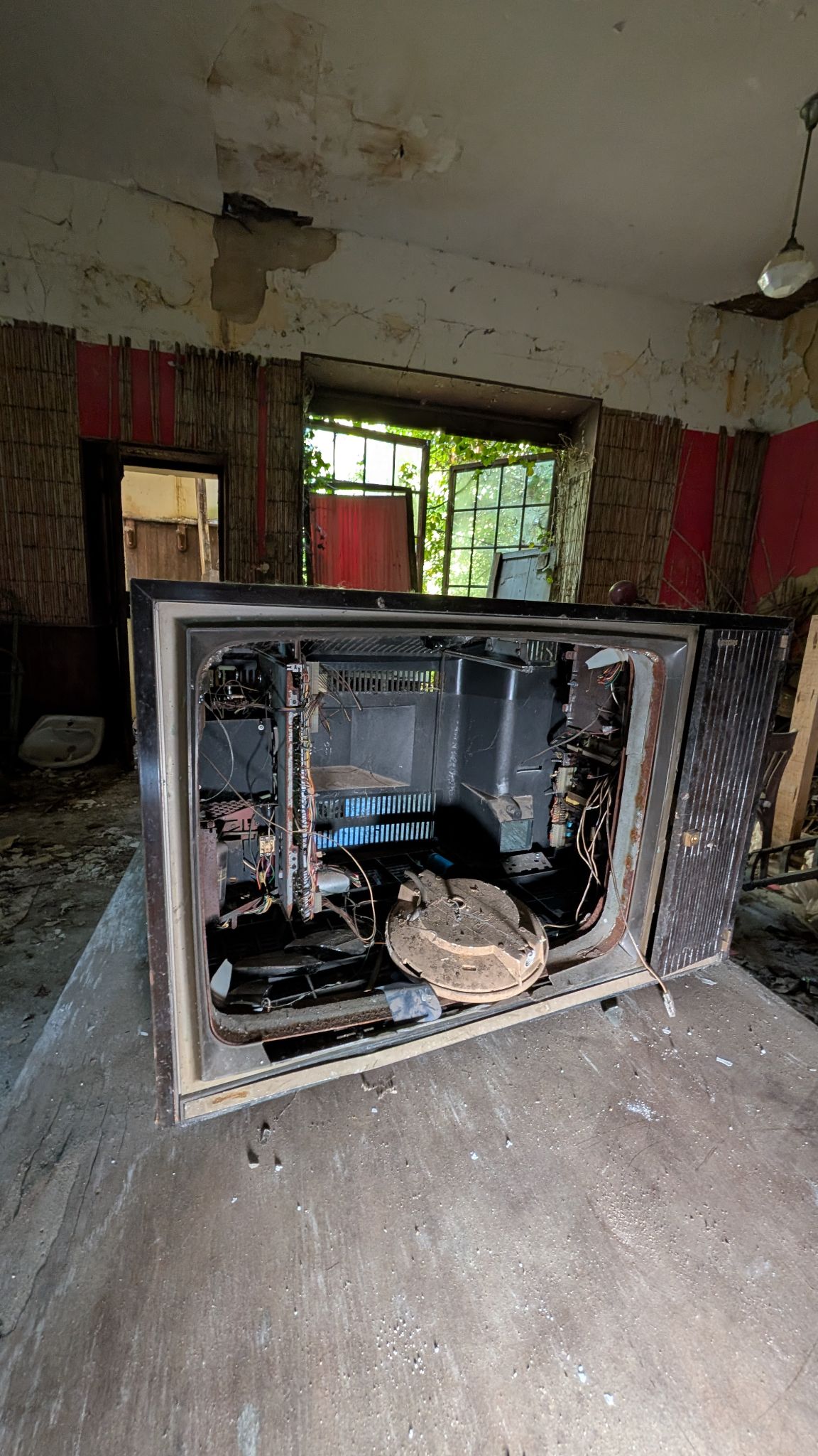 PXL 20260427 125028776