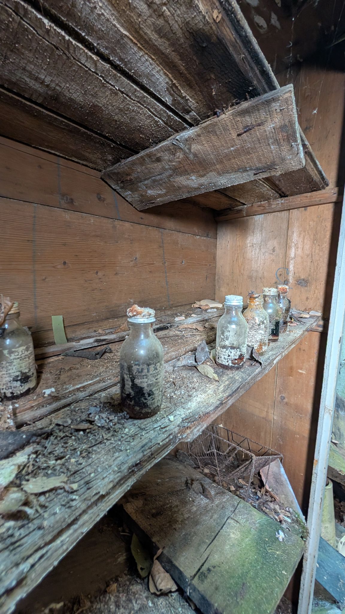 PXL 20260427 125059487