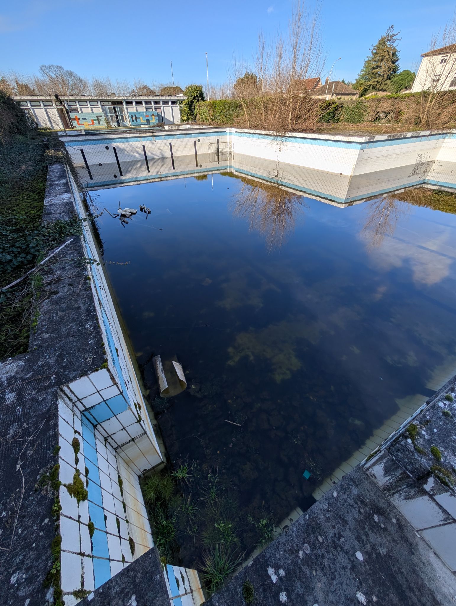 PXL 20260208 140611510