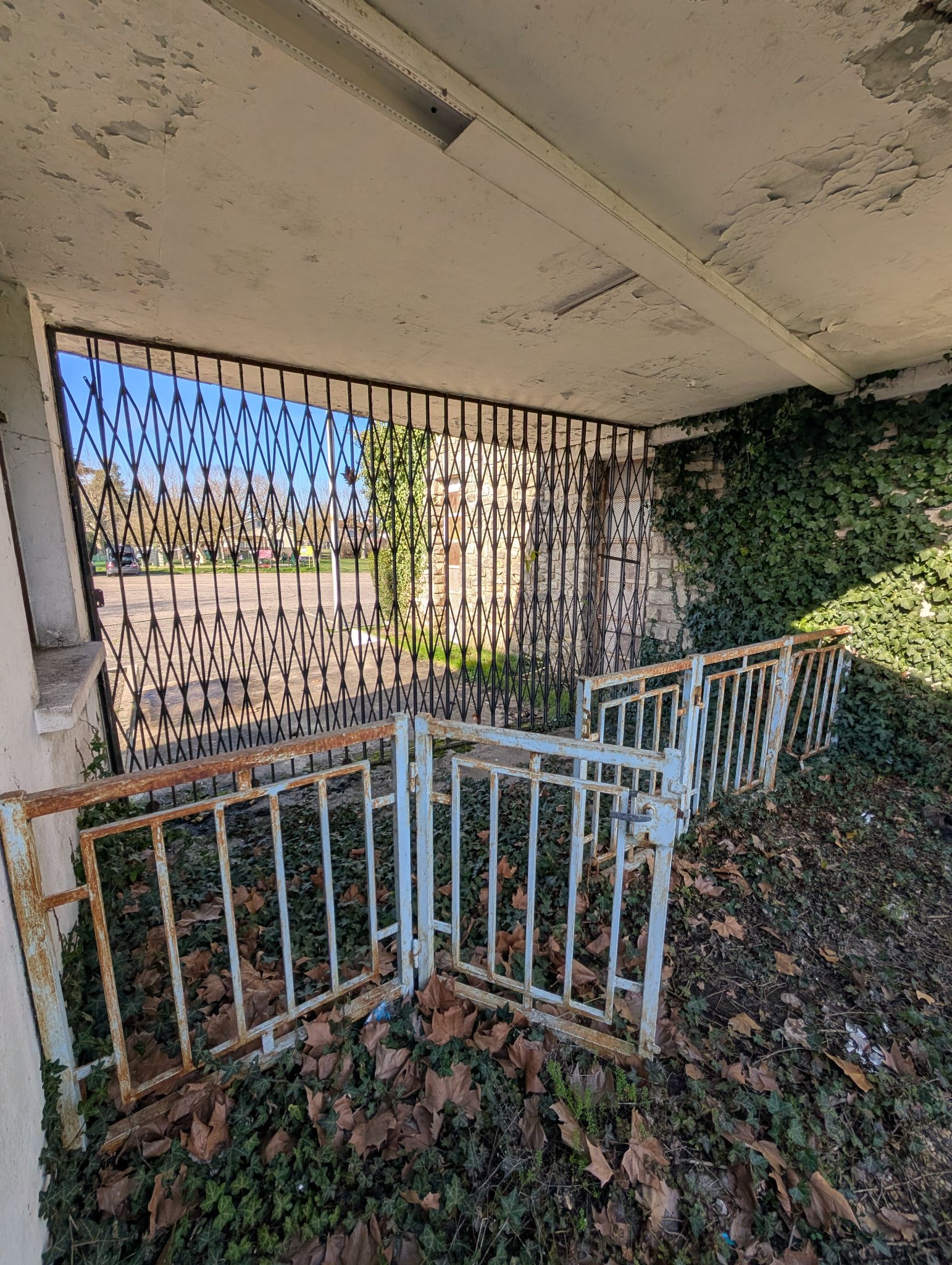 PXL 20260208 141813154