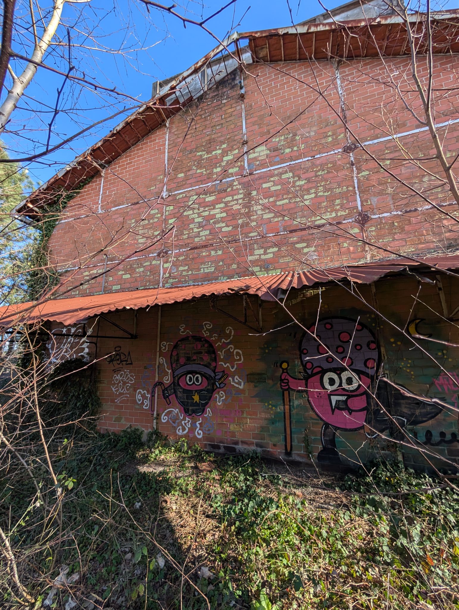 PXL 20260228 153811541