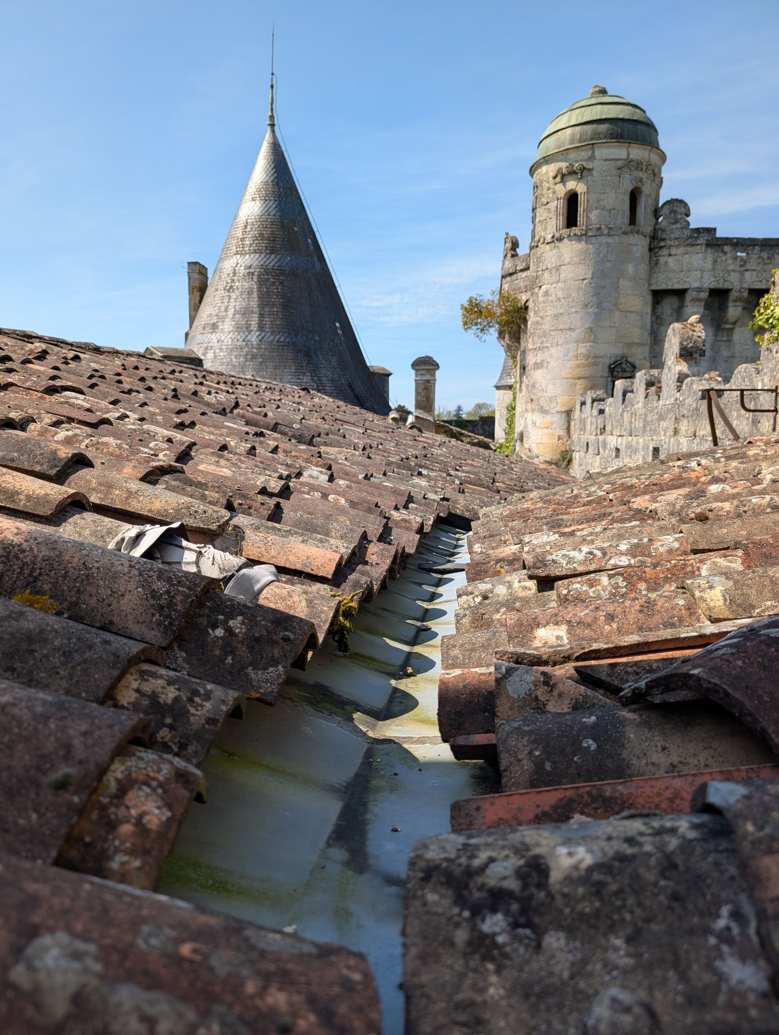 PXL 20260405 123117628.MP